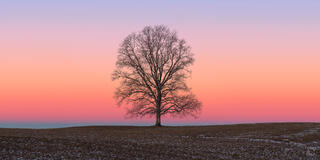 THE EARTH'S SHADOW