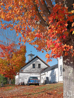 Sweeping orange and red autumn maple branches dramatically frame a classic white New England barn with cupola and weather vane, with a vintage blue car tucked 
