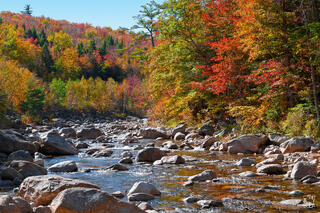 A rocky shallow mountain stream flows through a vibrant New England autumn landscape, flanked by colorful red, orange, yellow, and green fall foliage trees with