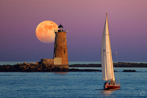 SURREAL FUN - FINE ART PRINTS