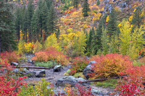 WASHINGTON STATE FINE ART PRINTS